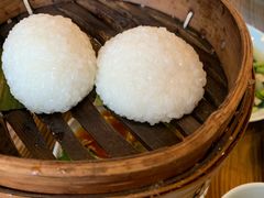 茨毛圆子-双塔老饭店