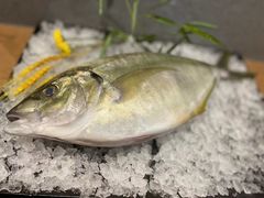 -水之惠鲜鱼料理(王府大街店)