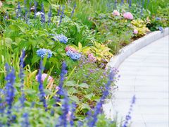 -东怡大酒店(上海科技馆店)