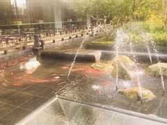-北京希尔顿逸林酒店