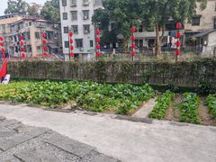 -湘力力小院·鱼汤泡饭(枫林路店)