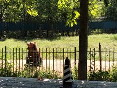 -秦皇岛野生动物园