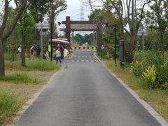 入口-广富林郊野公园-P5停车场