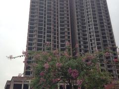 iphone_upload_pic-邓小平故里