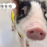 超级治愈的一天💖💖