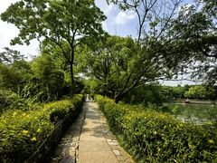 -西溪国家湿地公园