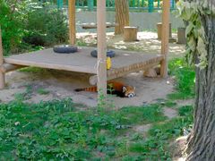-西安秦岭野生动物园