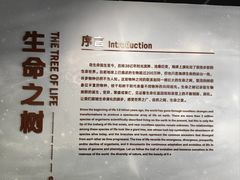 -四川大学博物馆