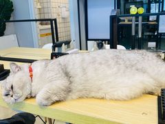 -Oasis绿洲银饰珍珠手作diy(壹方城店)