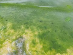 -那香海钻石沙滩浴场