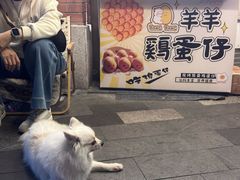 -羊羊鸡蛋仔(大学城店)