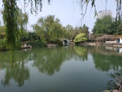 -西苑公园