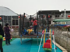 -小鱼草莓采摘园农家乐·小鱼餐厅