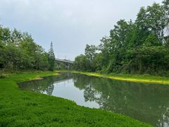 -桤木河湿地公园