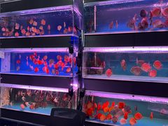 -华声天桥民俗文化园