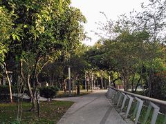 -大亚湾红树林城市湿地公园