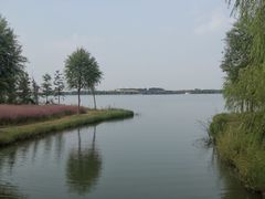 -南湖湿地公园