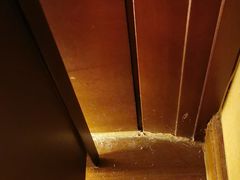 -长白山万达喜来登度假酒店