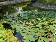 -南通鹏欣花园国宾酒店
