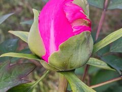 -长春公园(普阳街道)