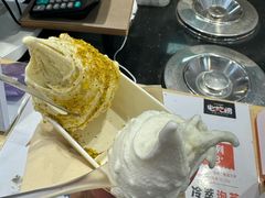 -野人先生现做冰淇淋(西安赛格店)