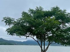 -东钱湖旅游度假区