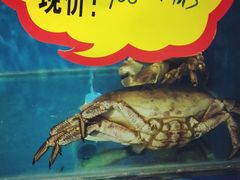 -云的侧面音乐餐吧(丰马牛餐饮广场店)