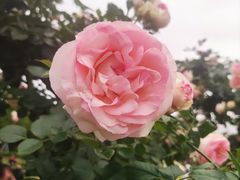 -牛岗山公园