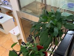 -蕾特恩祛痘•皮肤管理