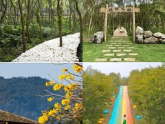 -广州市流溪河国家森林公园