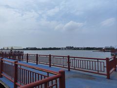 -鹅湖玫瑰文化园