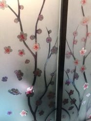 点击看大图 -深圳阳光医疗美容医院·旗舰店