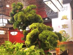-洞庭家宴·头牌甲鱼(广渠门店)
