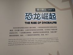 -自贡恐龙博物馆