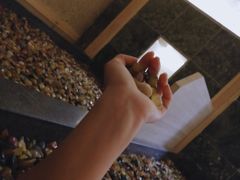 -汤泉良子.足疗按摩.SPA(中关村店)