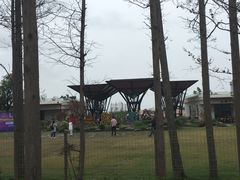 -上海长兴岛郊野公园