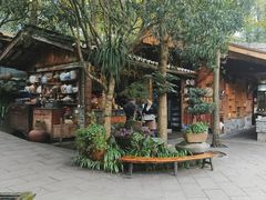 -青城甲(青城山店)