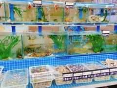 水产区-富临港·蒸汽海鲜·手抓海鲜·炒菜(栈桥店)