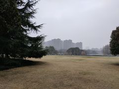 -青枫公园
