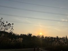 -桤木河湿地公园