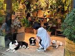-自由生长植物工作室(深港花卉中心店)