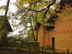 -南雄冯屋银杏山庄