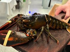 -醉了的船Le Bateau Ivre(温江店)