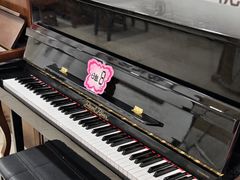 -天籁琴行(淘金店)