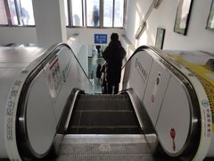 -大望路(地铁站)