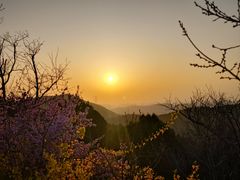 -佛慧山