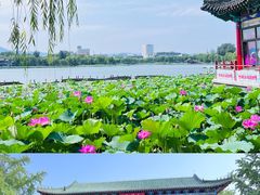-济南大明湖景区