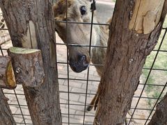 -泉州海丝野生动物世界