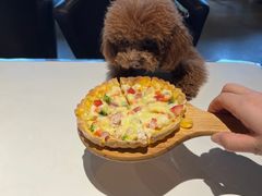 -百好乐宠物友好餐厅(朝外大街店)