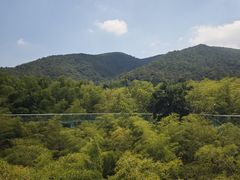 -陶祖圣境风景区